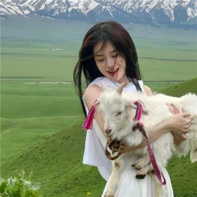 继承之战第一季